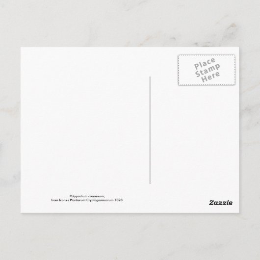 Fern Postkarte (Rückseite)