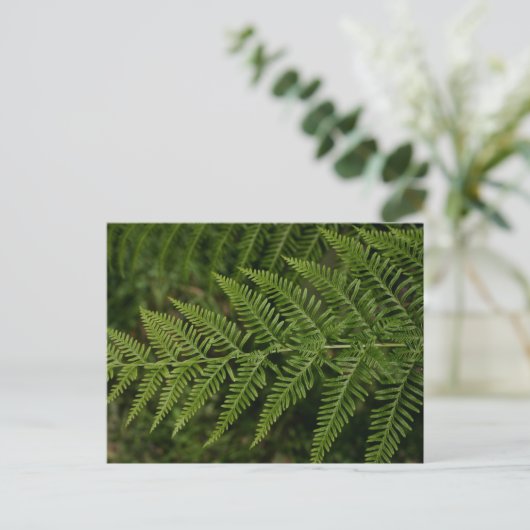 Fern Postkarte (Stehend Vorderseite)
