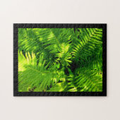 Fern Puzzle (Horizontal)