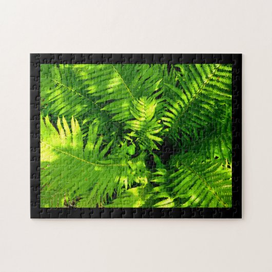 Fern Puzzle (Horizontal)