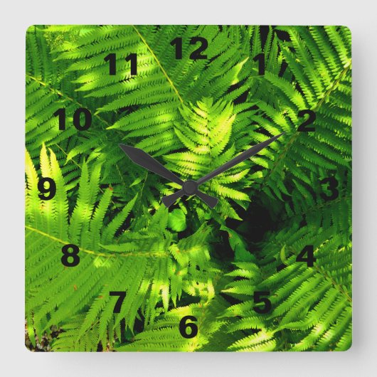 Fern Quadratische Wanduhr (Vorderseite)