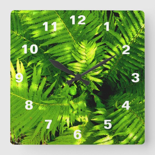 Fern Quadratische Wanduhr (Vorderseite)