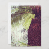 Fern Rainforest (Rückseite)