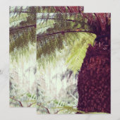 Fern Rainforest (Vorne/Hinten)