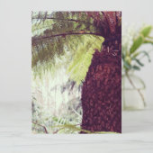 Fern Rainforest (Stehend Vorderseite)
