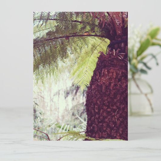 Fern Rainforest (Stehend Vorderseite)