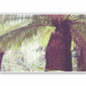 Fern Rainforest Aufkleber (Vorderseite)