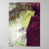 Fern Rainforest Poster (Vorne)