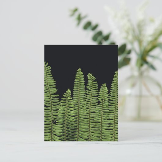 Fern Row Postkarte (Stehend Vorderseite)