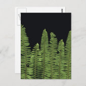 Fern Row Postkarte (Vorne/Hinten)