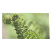 Fern Shams Kissenbezug (Rückseite-Links)