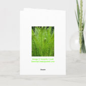 Fern Shoots Note Card Karte (Rückseite)