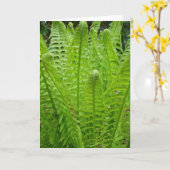 Fern Shoots Note Card Karte (Gelbe Blume)