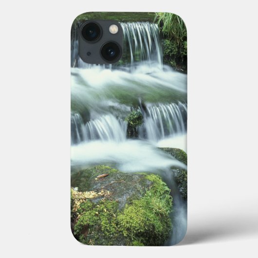 Fern Spring, Yosemite National Park Case-Mate iPhone Hülle (Rückseite)