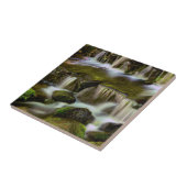 Fern Spring, Yosemite National Park, Kalifornien Fliese (Seite)