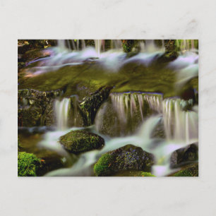 Fern Spring, Yosemite National Park, Kalifornien Postkarte