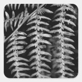 Fern Stickers (Vorderseite)