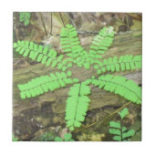 Fern Tile Fliese (Vorderseite)