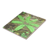 Fern Tile Fliese (Seite)