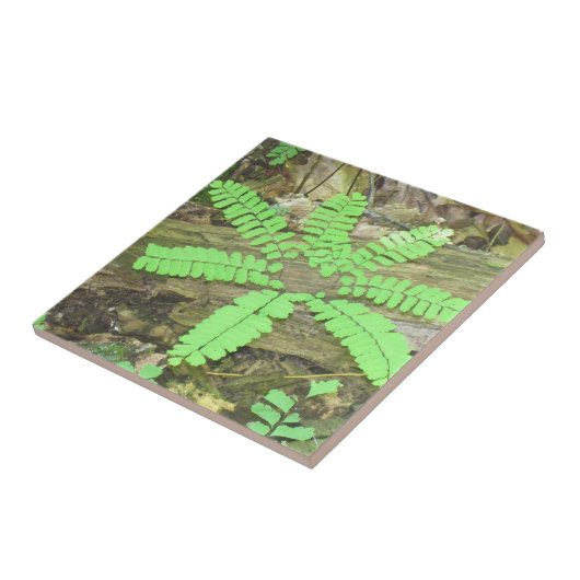 Fern Tile Fliese (Seite)