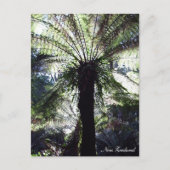 Fern Tree, Neuseeland, einheimische Natur Postkarte (Vorderseite)