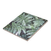 Fern Tropical Green Blätter Pflanze Waldland Folia Fliese (Seite)