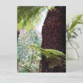 Fern Tropics (Stehend Vorderseite)