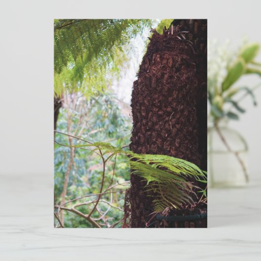 Fern Tropics (Stehend Vorderseite)