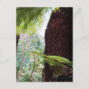 Fern Tropics Postkarte