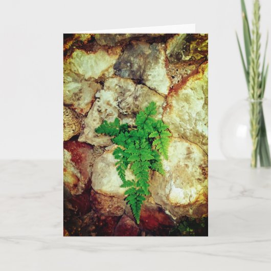 Fern- und Geodes-Jede Anlässe Karte (Vorderseite)