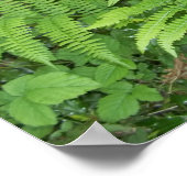 Fern- und Holoposter Poster (Ecke)