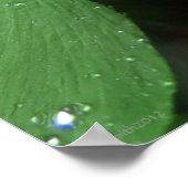 Fern- und Raindrops-Motivierend Poster (Ecke)