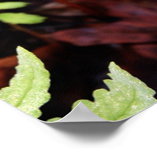 Fern von StoneWall Poster (Ecke)