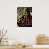 Fern von StoneWall Poster (Küche)