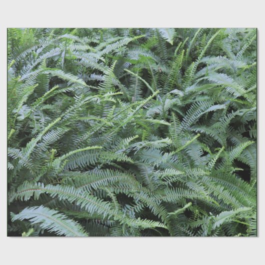 Fern Wrapping Paper Geschenkpapier (Flach)