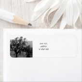 Fernbaum (schwarz & weiß) (Insitu)