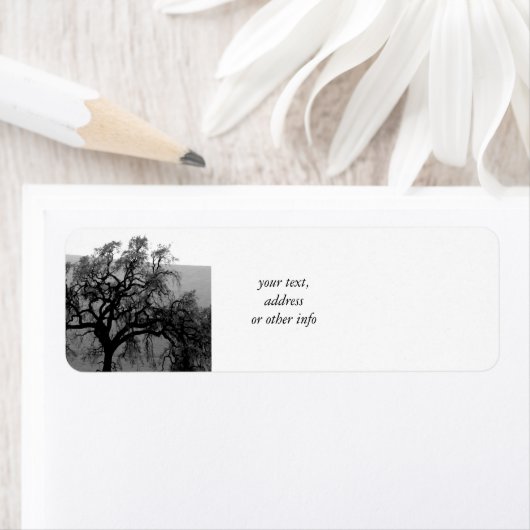 Fernbaum (schwarz & weiß) (Insitu)