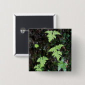 Ferne - button (Vorne & Hinten)