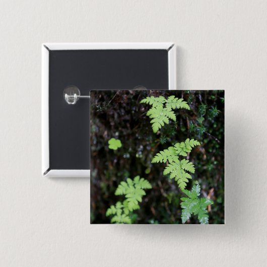 Ferne - button (Vorne & Hinten)