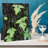 Ferne - fotoplatte (Seite)