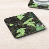 Ferne - getränkeuntersetzer (Linke Seite)