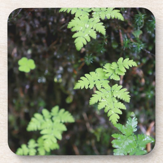 Ferne - getränkeuntersetzer (Vorderseite)