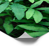 Ferne: Leinwand— Poster (Ecke)