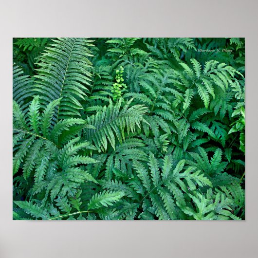 Ferne: Leinwand - Wohnung Poster (Vorne)