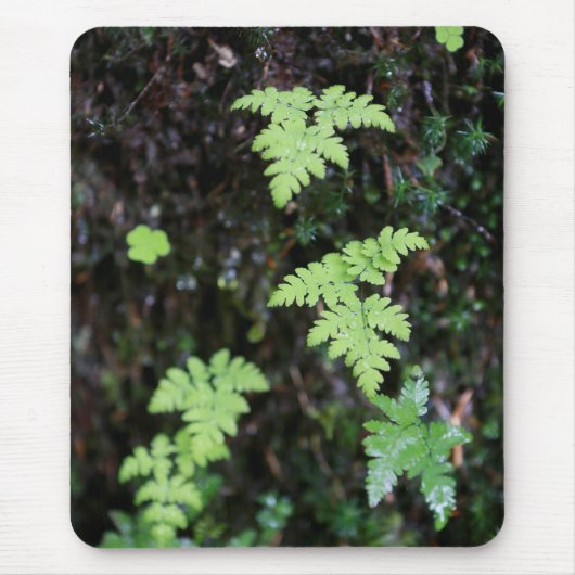 Ferne - mousepad (Vorne)