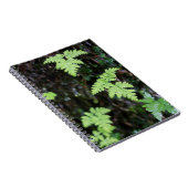 Ferne - notizblock (Rechte Seite)