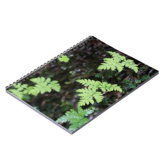 Ferne - notizblock (Linke Seite)