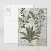 Ferne, Stöcke und Blume Postkarte (Vorne/Hinten)