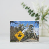 Fernfahrt Echidnas Postkarte (Stehend Vorderseite)