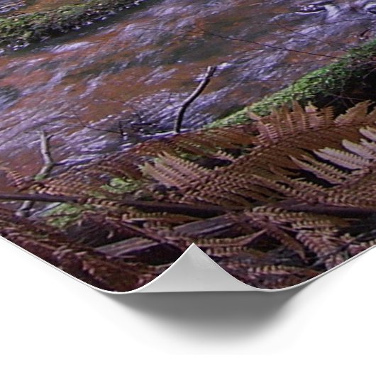 Ferngully Poster (Ecke)